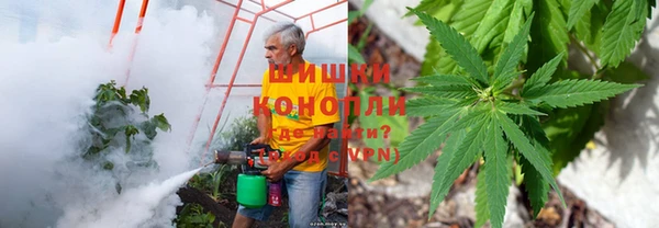 не бодяженный Володарск