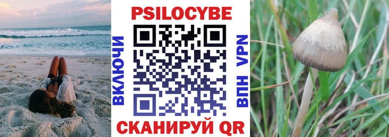 Купить где  Вятские Поляны  Галлюциногенные грибы Psilocybe 